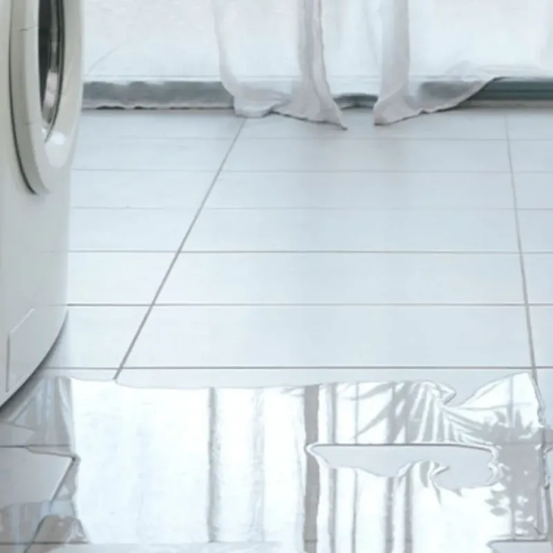 Appliance Leak Cleanup in Orange County, TX