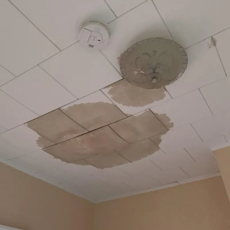 Ceiling Water Damage Repair in Orange County, TX