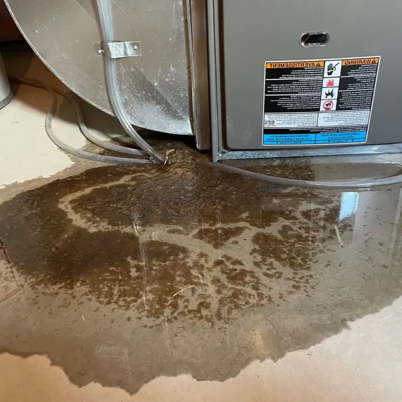 Pipe Burst and Leak Restoration in Orange County, TX