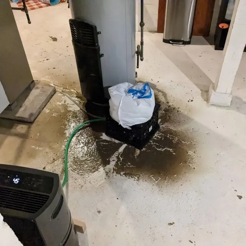 Sewage Backup Cleanup Service in Orange County, TX